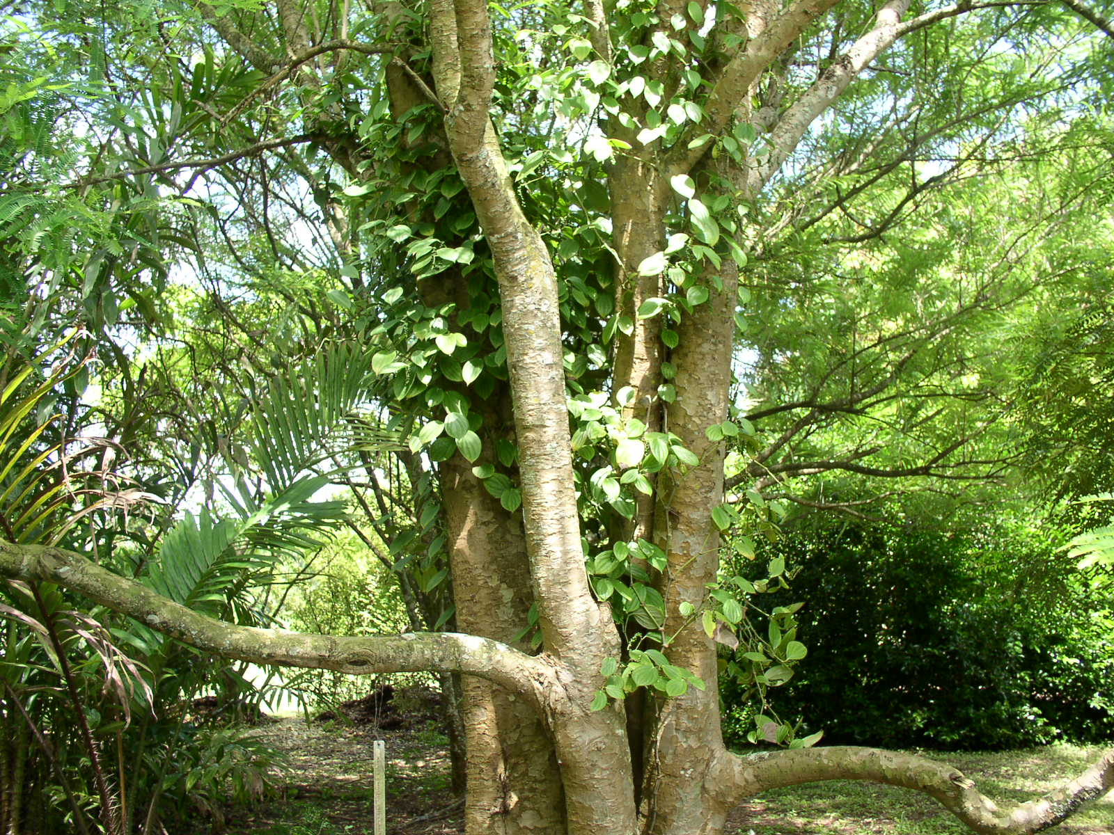 photo1
